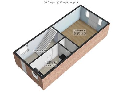 Picture 11